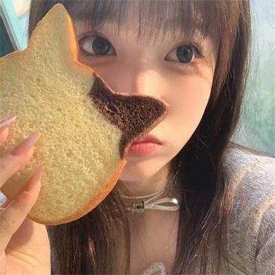 母猫