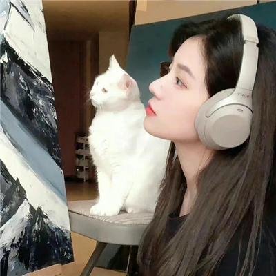 情迷维纳斯
